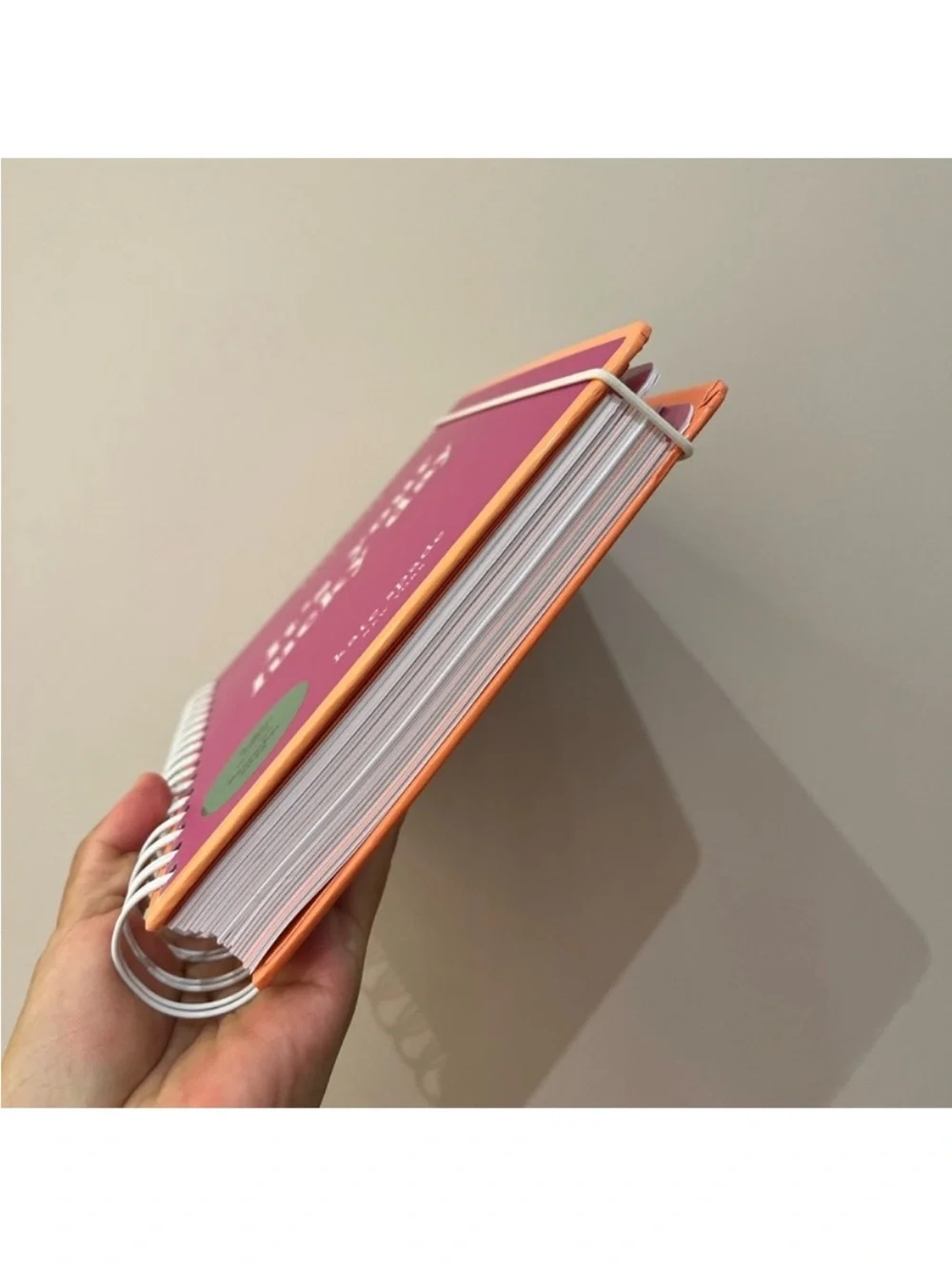 Kate Spade It's Your Lucky Day 2024-25 17-month Large Planner # K240242